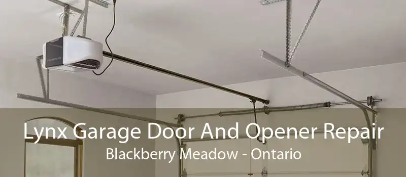 Lynx Garage Door And Opener Repair Blackberry Meadow - Ontario