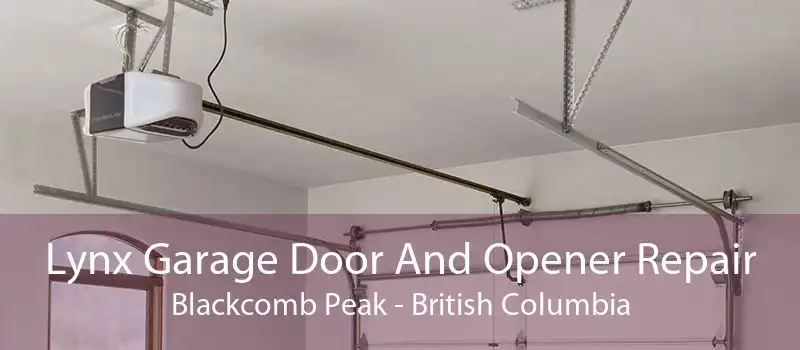 Lynx Garage Door And Opener Repair Blackcomb Peak - British Columbia