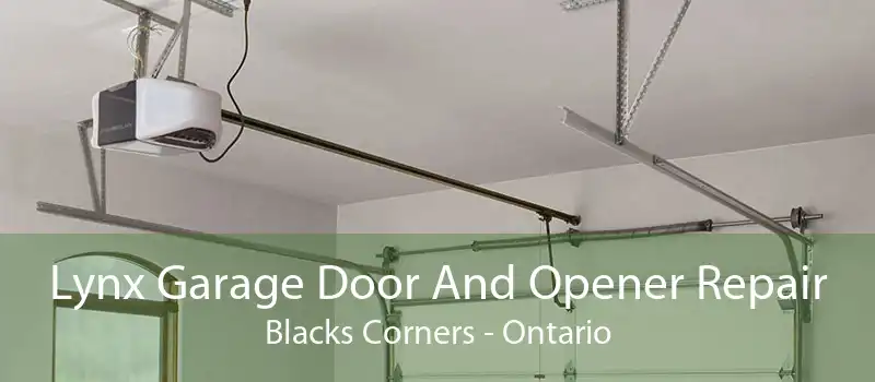 Lynx Garage Door And Opener Repair Blacks Corners - Ontario