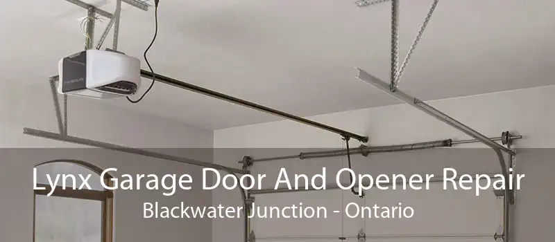 Lynx Garage Door And Opener Repair Blackwater Junction - Ontario