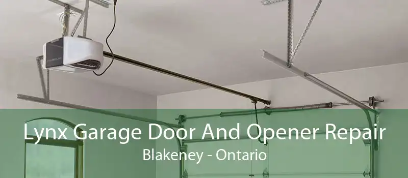 Lynx Garage Door And Opener Repair Blakeney - Ontario