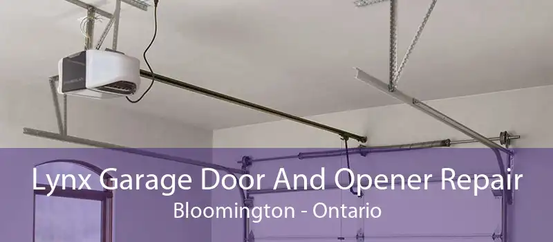 Lynx Garage Door And Opener Repair Bloomington - Ontario