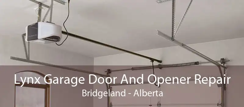 Lynx Garage Door And Opener Repair Bridgeland - Alberta