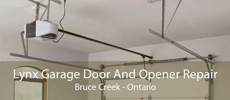Lynx Garage Door And Opener Repair Bruce Creek - Ontario