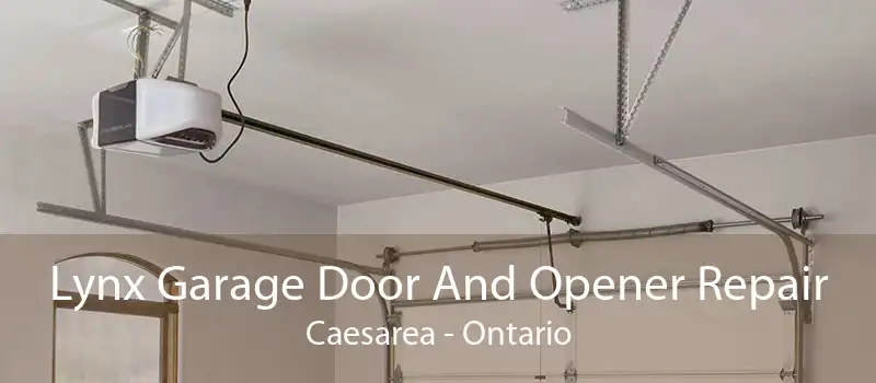 Lynx Garage Door And Opener Repair Caesarea - Ontario