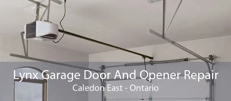 Lynx Garage Door And Opener Repair Caledon East - Ontario