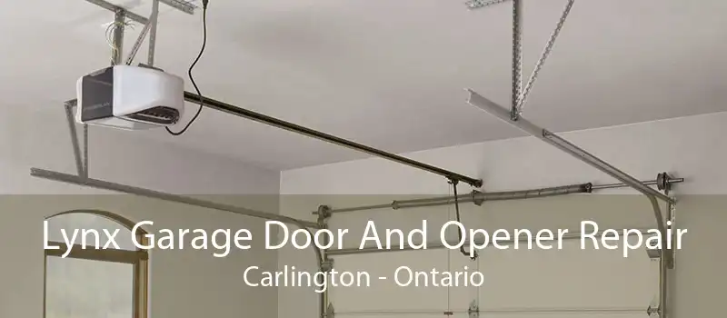 Lynx Garage Door And Opener Repair Carlington - Ontario