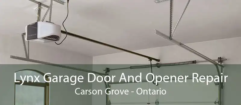 Lynx Garage Door And Opener Repair Carson Grove - Ontario