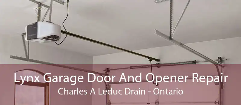 Lynx Garage Door And Opener Repair Charles A Leduc Drain - Ontario