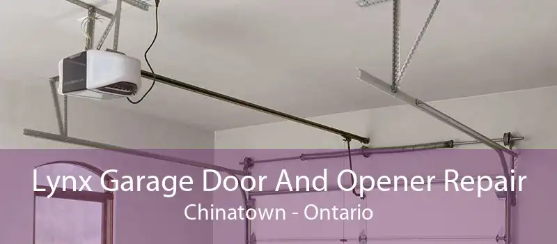 Lynx Garage Door And Opener Repair Chinatown - Ontario