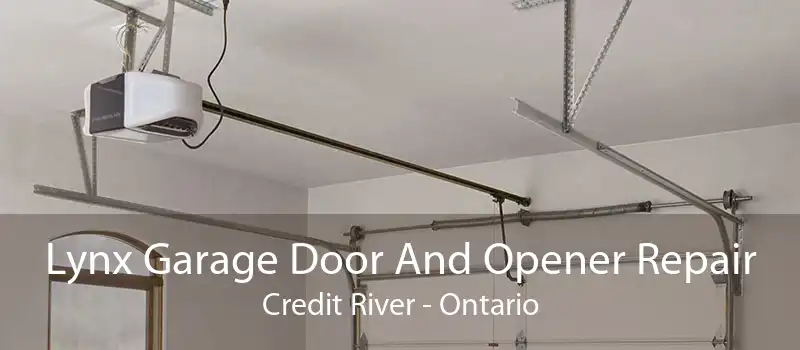 Lynx Garage Door And Opener Repair Credit River - Ontario