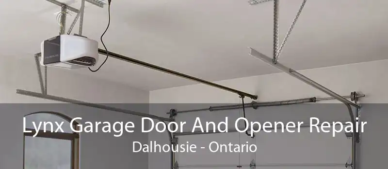 Lynx Garage Door And Opener Repair Dalhousie - Ontario