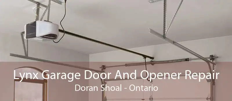Lynx Garage Door And Opener Repair Doran Shoal - Ontario