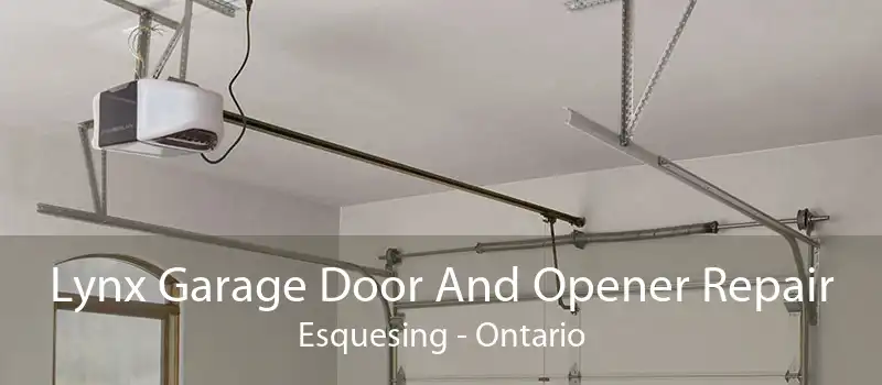 Lynx Garage Door And Opener Repair Esquesing - Ontario