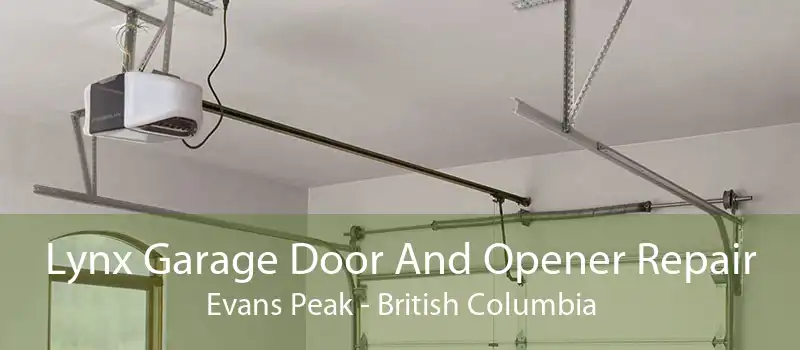 Lynx Garage Door And Opener Repair Evans Peak - British Columbia