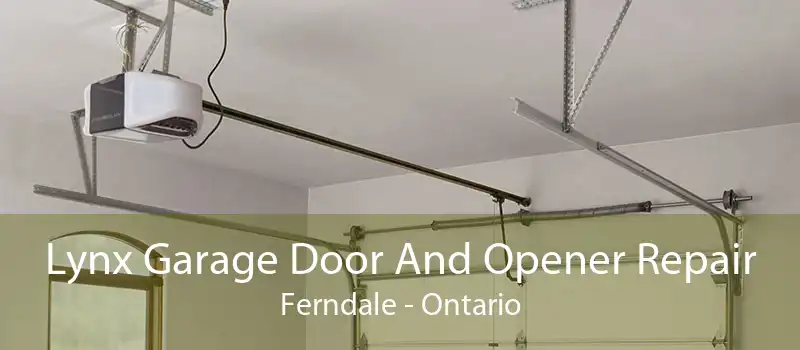 Lynx Garage Door And Opener Repair Ferndale - Ontario