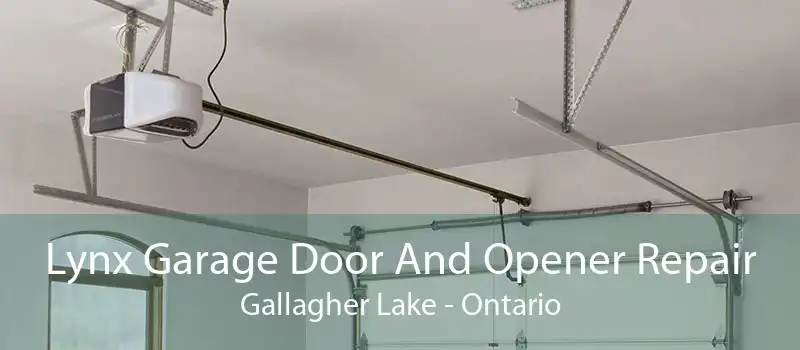 Lynx Garage Door And Opener Repair Gallagher Lake - Ontario