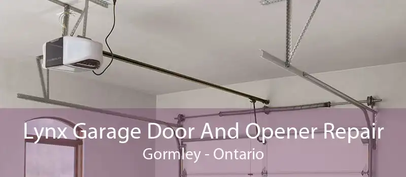 Lynx Garage Door And Opener Repair Gormley - Ontario
