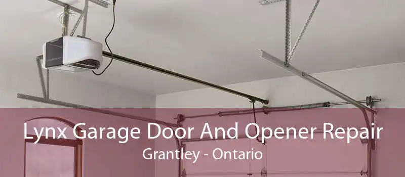 Lynx Garage Door And Opener Repair Grantley - Ontario