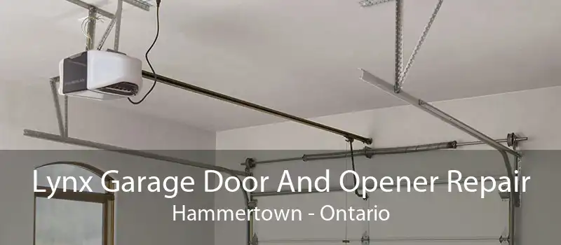 Lynx Garage Door And Opener Repair Hammertown - Ontario