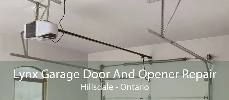 Lynx Garage Door And Opener Repair Hillsdale - Ontario