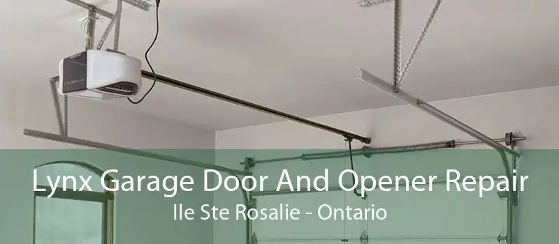 Lynx Garage Door And Opener Repair Ile Ste Rosalie - Ontario
