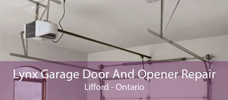 Lynx Garage Door And Opener Repair Lifford - Ontario