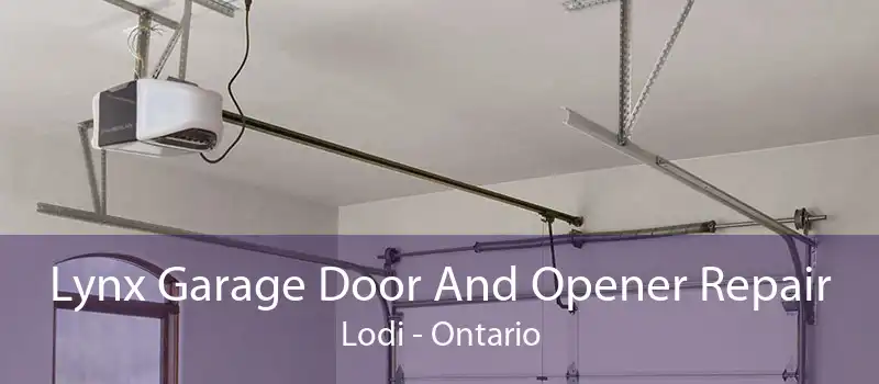 Lynx Garage Door And Opener Repair Lodi - Ontario