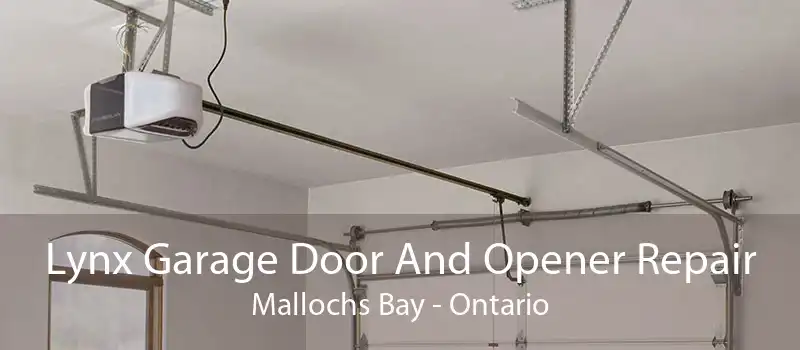 Lynx Garage Door And Opener Repair Mallochs Bay - Ontario