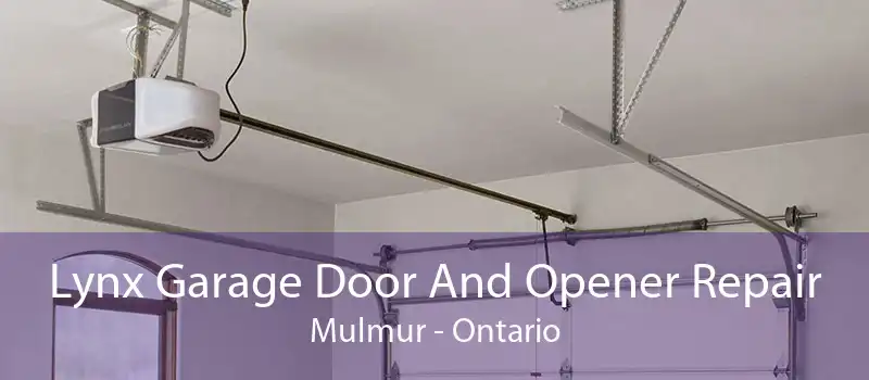 Lynx Garage Door And Opener Repair Mulmur - Ontario