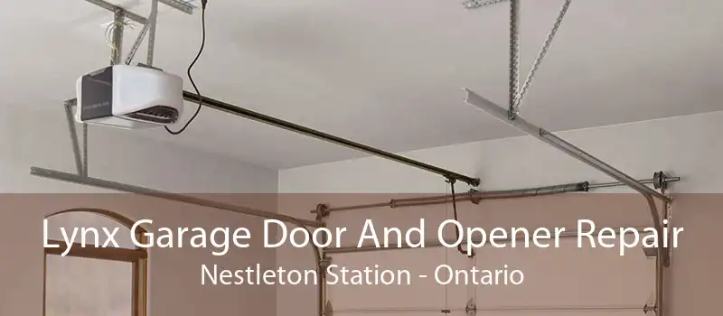 Lynx Garage Door And Opener Repair Nestleton Station - Ontario