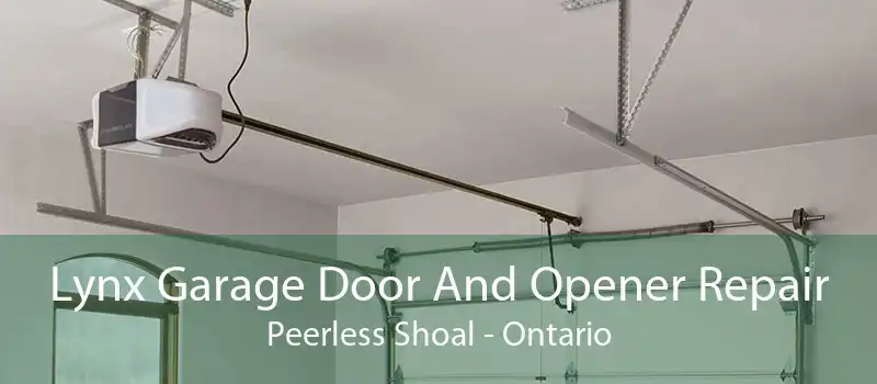 Lynx Garage Door And Opener Repair Peerless Shoal - Ontario