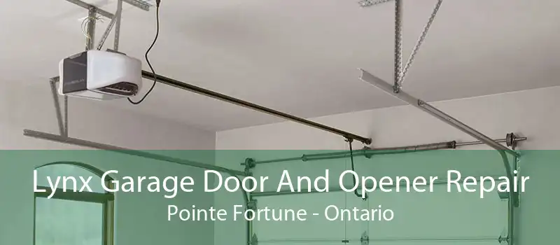 Lynx Garage Door And Opener Repair Pointe Fortune - Ontario