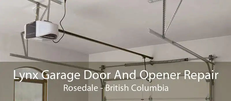 Lynx Garage Door And Opener Repair Rosedale - British Columbia