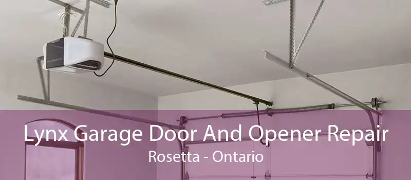 Lynx Garage Door And Opener Repair Rosetta - Ontario
