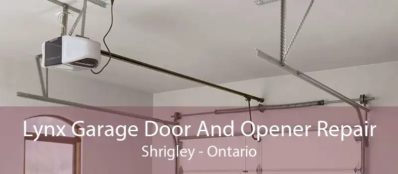 Lynx Garage Door And Opener Repair Shrigley - Ontario