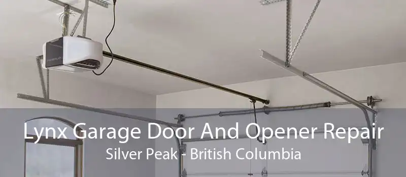 Lynx Garage Door And Opener Repair Silver Peak - British Columbia