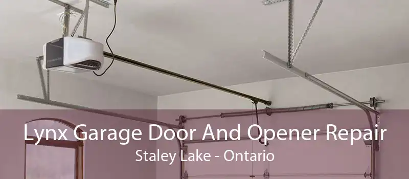 Lynx Garage Door And Opener Repair Staley Lake - Ontario