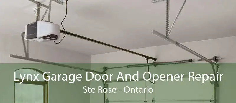 Lynx Garage Door And Opener Repair Ste Rose - Ontario