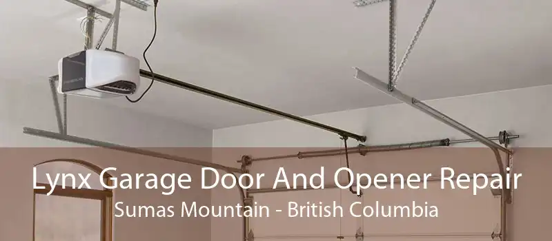 Lynx Garage Door And Opener Repair Sumas Mountain - British Columbia