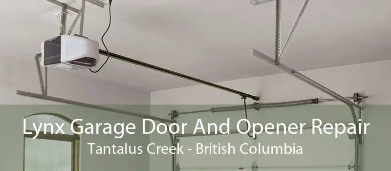 Lynx Garage Door And Opener Repair Tantalus Creek - British Columbia