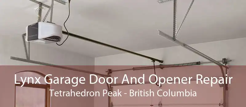 Lynx Garage Door And Opener Repair Tetrahedron Peak - British Columbia
