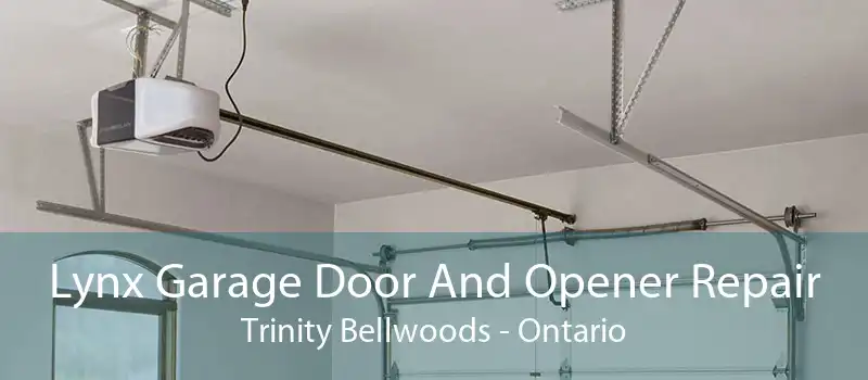 Lynx Garage Door And Opener Repair Trinity Bellwoods - Ontario
