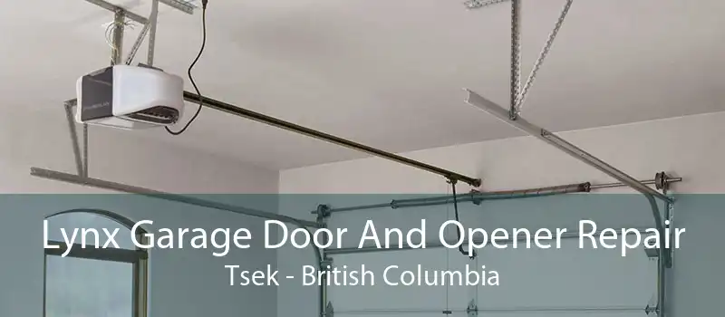 Lynx Garage Door And Opener Repair Tsek - British Columbia