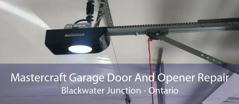 Mastercraft Garage Door And Opener Repair Blackwater Junction - Ontario