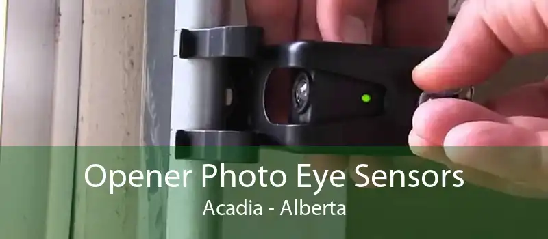 Opener Photo Eye Sensors Acadia - Alberta