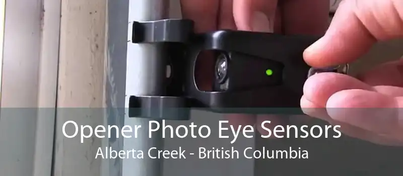 Opener Photo Eye Sensors Alberta Creek - British Columbia