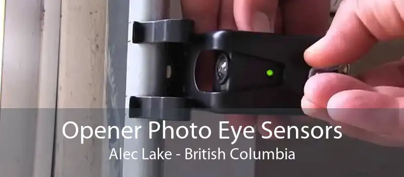 Opener Photo Eye Sensors Alec Lake - British Columbia
