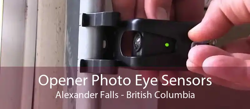 Opener Photo Eye Sensors Alexander Falls - British Columbia