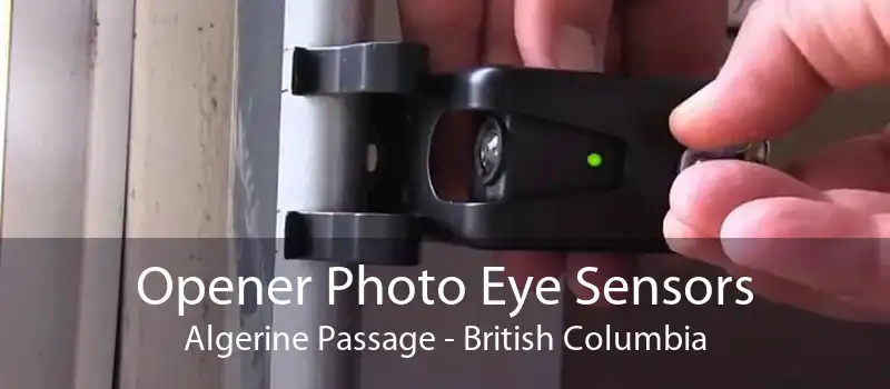 Opener Photo Eye Sensors Algerine Passage - British Columbia